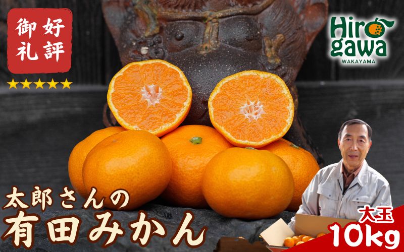有田 みかん 大玉 10kg / 温州みかん 有田みかん 甘い 和歌山 柑橘 ※12月上旬～1月上旬に順次発送 【ymk004-10-2l】