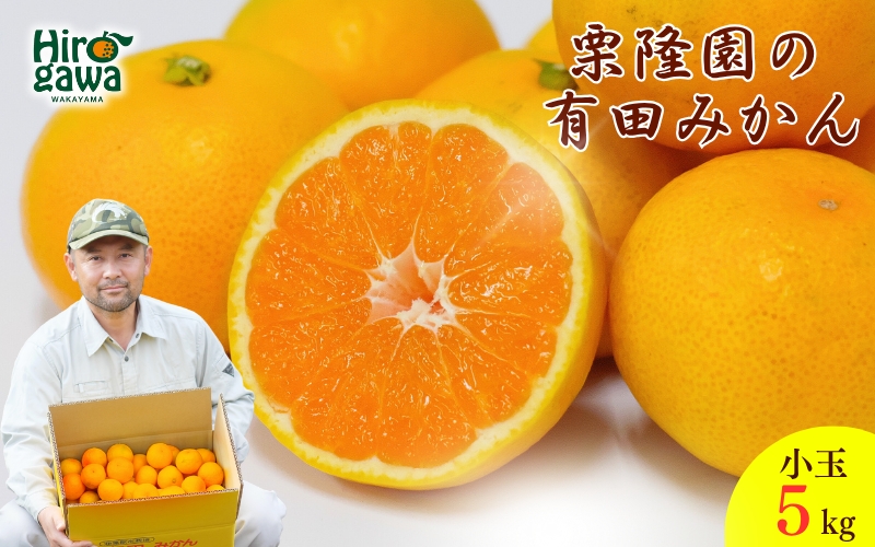 有田 みかん 小玉 5kg / 有田みかん 温州みかん 甘い 小玉 和歌山 柑橘 5kg ※※11月上旬～翌年1月に順次発送予定【krt004-s-5】