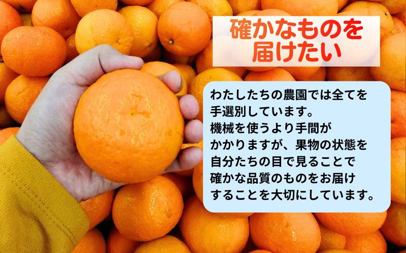 âŒæµ·è»æœçš æç°ã¿ãã æéžæ 10kg â»2026幎11æäžæ¬ïœç¿å¹Ž1æäžæ¬é ã«é 次çºéäºå® /mikan ã¿ãã åæå±±ã¿ãã ããã ã¿ãã æç© ãã ãã® ãã«ãŒã ææ© ã¿ãã èæ ç£å°çŽé æ°ééå® åœç£ ãaii004-r-10Aã