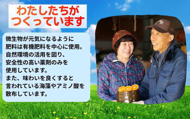 âŒæµ·è»æœçš æç°ã¿ãã æéžæ 10kg â»2026幎11æäžæ¬ïœç¿å¹Ž1æäžæ¬é ã«é 次çºéäºå® /mikan ã¿ãã åæå±±ã¿ãã ããã ã¿ãã æç© ãã ãã® ãã«ãŒã ææ© ã¿ãã èæ ç£å°çŽé æ°ééå® åœç£ ãaii004-r-10Aã