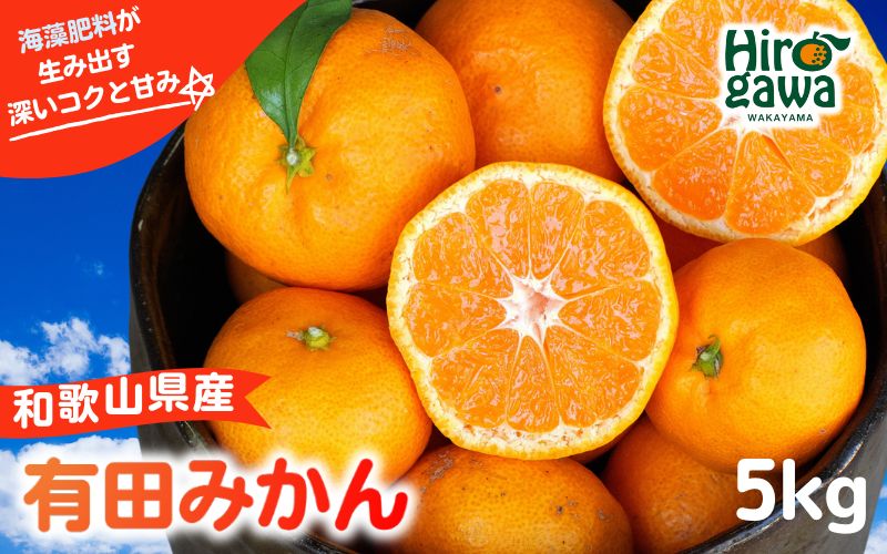 海藻施用有田みかん 手選果 5kg ※11月下旬～翌年1月中旬頃に順次発送予定 【aii004-r-5A】