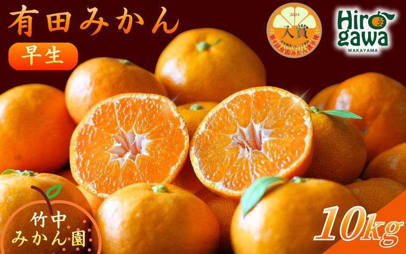 早生 有田みかん10kg (大玉）2L～ ※11月～1月順次発送予定 【tkn004-wr-l-10-12】