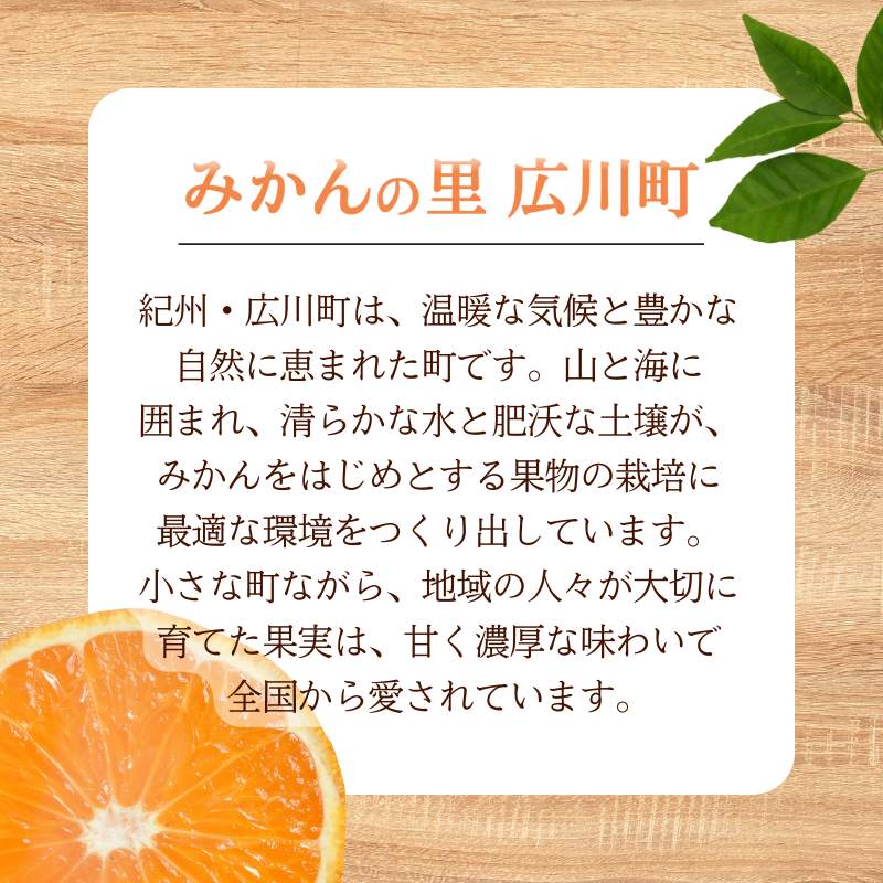 æ©ç æç°ã¿ãã10kg (倧çïŒ2Lïœ â»11æïœ1æé 次çºéäºå® ãtkn004-wr-l-10-12ã