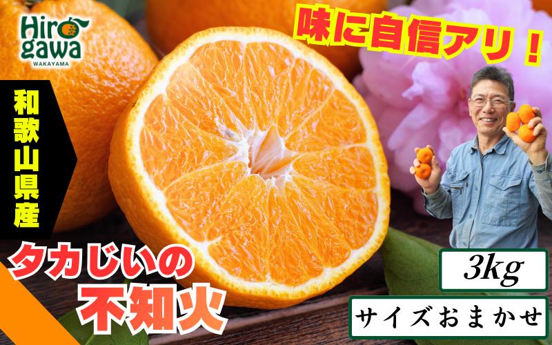 タカじいの 不知火 ( しらぬい ） 3kg / デコポン 甘い 和歌山 有田 柑橘 ※3月上旬〜3月下旬に順次発送 【krs010-r-3】