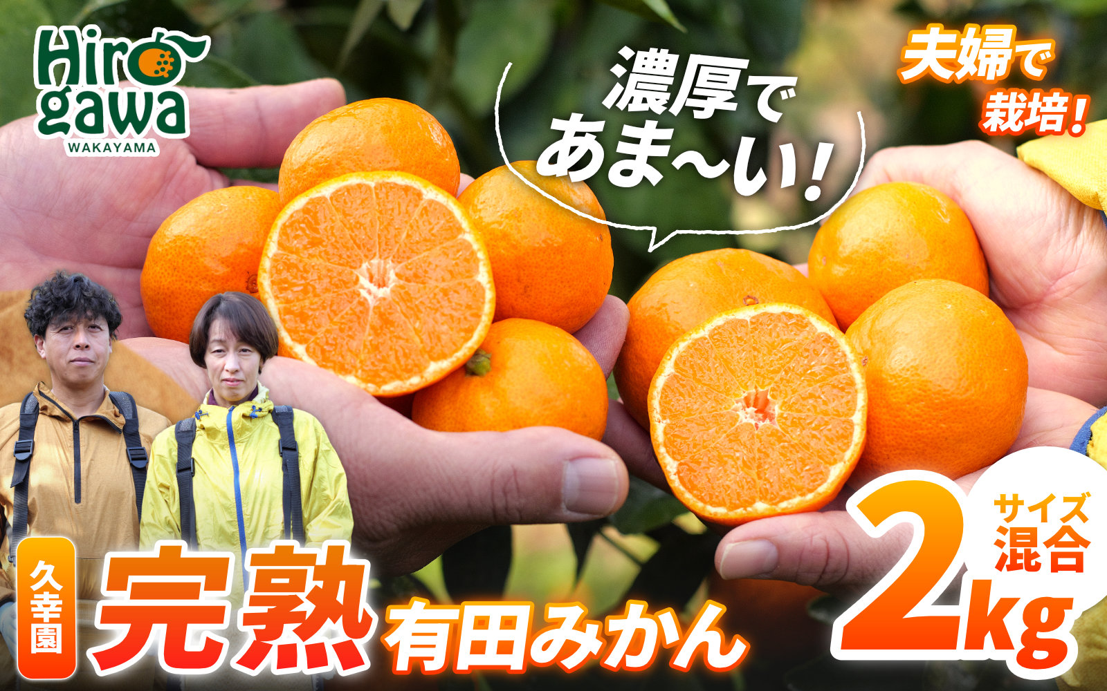 完熟 有田 みかん サイズ混合 2kg 久幸園 / 温州みかん 有田みかん 甘い 和歌山 柑橘 ※11月から1月下旬順次発送予定【hsk004-r-2】