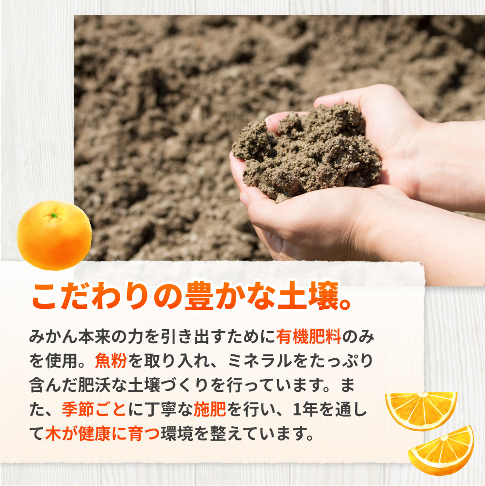 完熟 有田 みかん サイズ混合 2kg 久幸園 / 温州みかん 有田みかん 甘い 和歌山 柑橘 ※11月から1月下旬順次発送予定【hsk004-r-2】