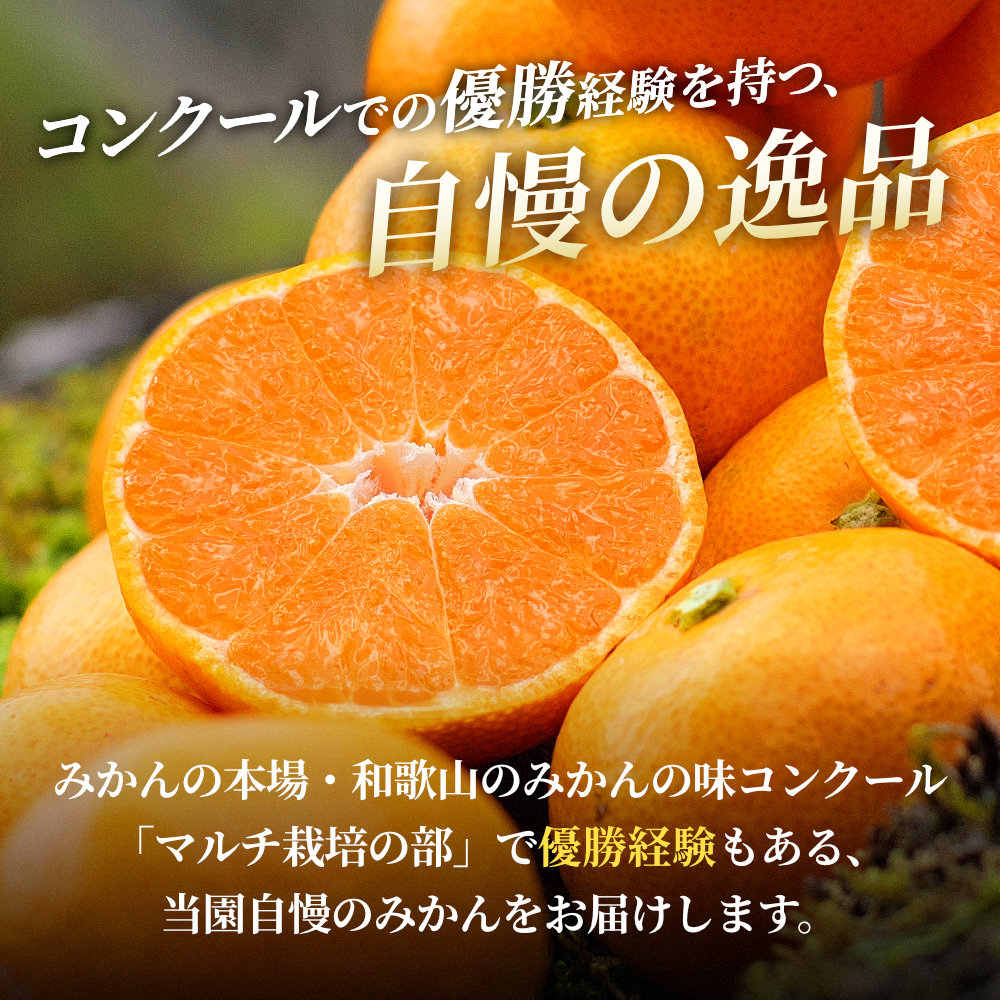 有田 みかん 特選 5kg 【 創業120年 農家直送 】 / 温州みかん 有田みかん 甘い 高級 和歌山 柑橘 ※11月中旬～2月上旬に順次発送 【isy004-r-5B】