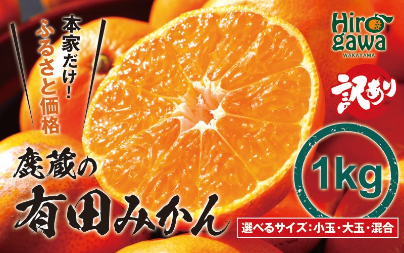 鹿蔵の 有田 みかん 訳あり 1kg 光センサー 選果 / 温州みかん 有田みかん 甘い 家庭用 和歌山 柑橘 ※2026年11月より順次発送予定 ※北海道・沖縄・離島への配送不可【ikd004-cm-1-nov】