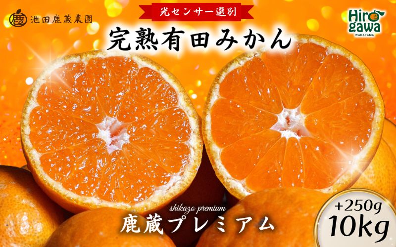 鹿蔵の 有田 みかん プレミアム 10kg+250g(傷み補償分) 光センサー 選果 / 温州みかん 有田みかん 甘い 高級 厳選 和歌山 柑橘 ※11月中旬より1月下旬に順次発送 ※北海道・沖縄・離島への配送不可 【ikd004-prem-10B】