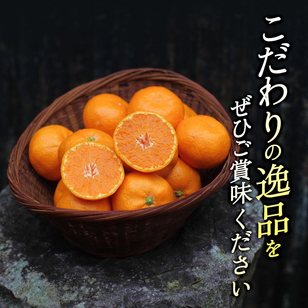 頑固オヤジの 有田 みかん 10kg / 温州みかん 有田みかん 甘い 和歌山 柑橘 ※11月中旬～1月下旬に順次発送 【krf004-r-10A】