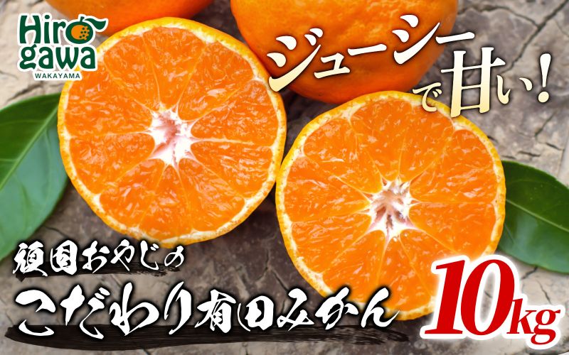 頑固オヤジの 有田 みかん 10kg / 温州みかん 有田みかん 甘い 和歌山 柑橘 ※11月中旬～1月下旬に順次発送 【krf004-r-10A】