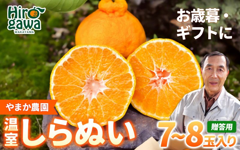 温室 不知火 （ しらぬい ） 3kg（7〜8玉）化粧箱入 / デコポン ハウス栽培 甘い 和歌山 柑橘 お歳暮 ※2026年11月下旬〜2026年12月下旬に順次発送 【ymk006-p-3】