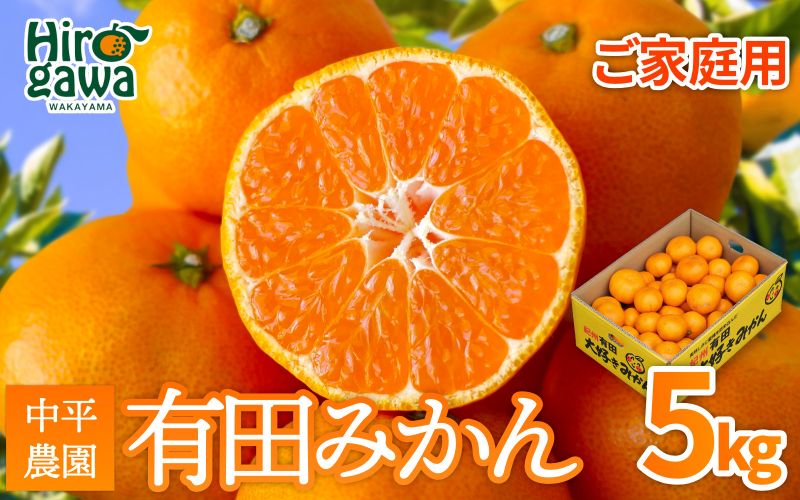 大好き みかん 5kg ご家庭用 サイズ混合 / 温州みかん 有田みかん 甘い 柑橘 和歌山 ※2026年11月中旬から2027年1月上旬に順次発送予定 【nkh004-c-5】