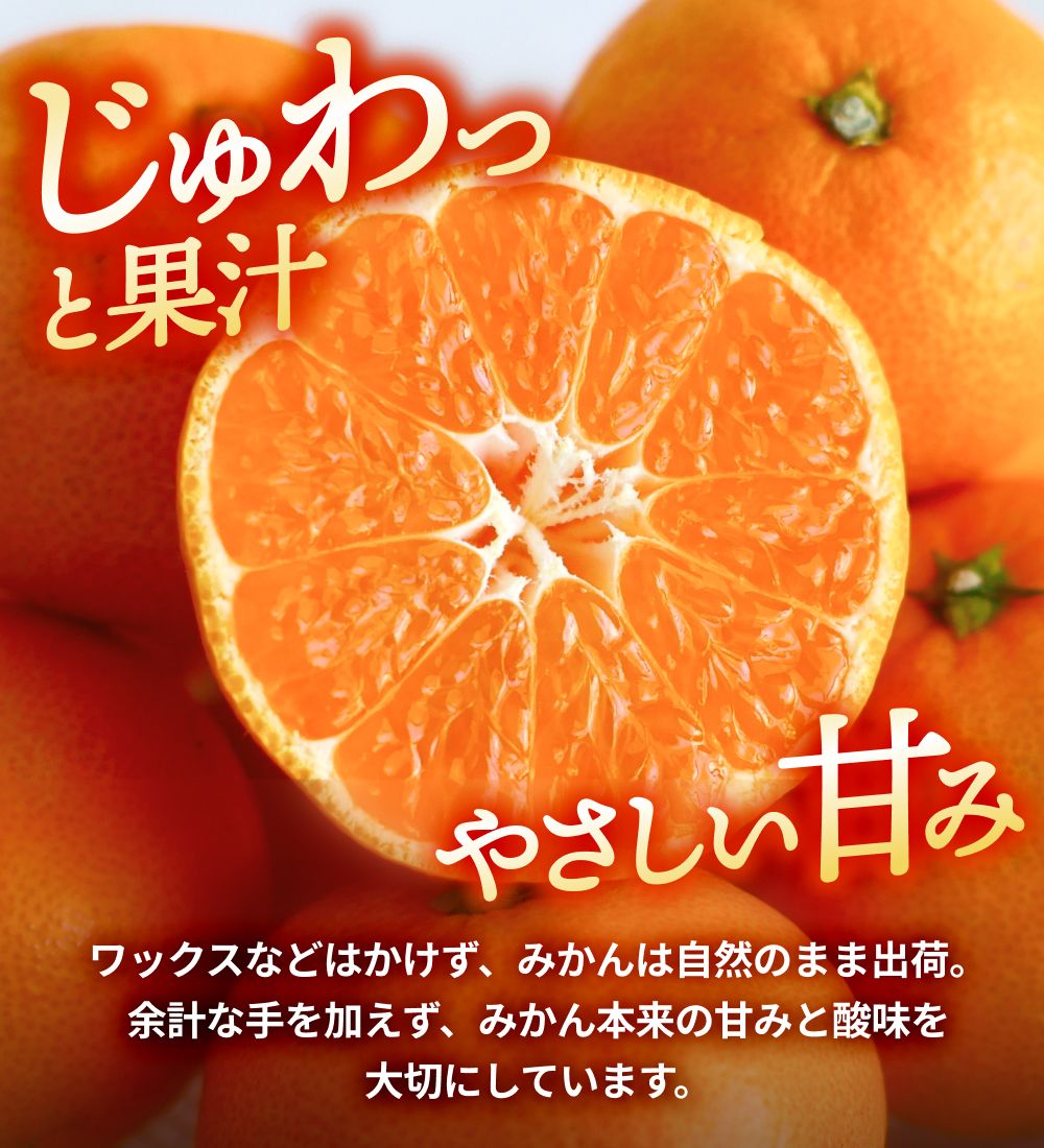 倧奜ã ã¿ãã 5kg ãå®¶åºçš ãµã€ãºæ··å / æž©å·ã¿ãã æç°ã¿ãã çã ææ© åæå±± â»2026幎11æäžæ¬ãã2027幎1æäžæ¬ã«é 次çºéäºå® ãnkh004-c-5ã