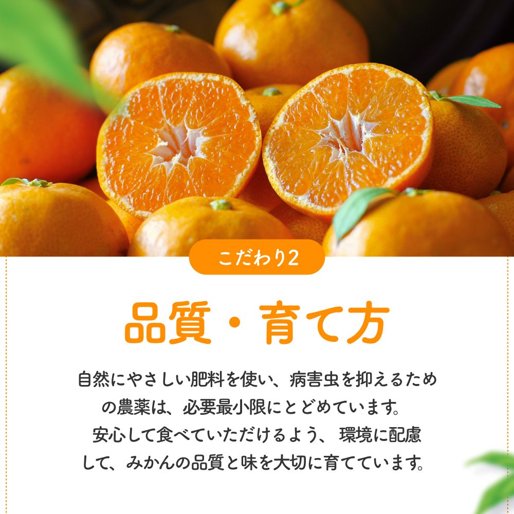 譌ゥ逕 譛臥伐縺ソ縺九s10kg (螟ァ邇会シ2Lス 窶サ2026蟷エ11譛茨ス2027蟷エ1譛井クュ譌ャ鬆縺ォ鬆谺。逋コ騾∽コ亥ョ 縲腎kn004-wr-l-10-12縲