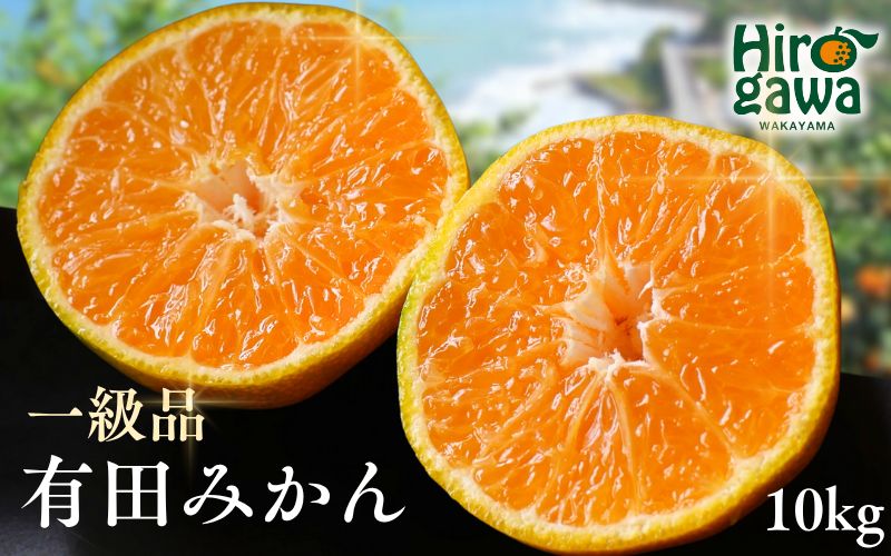 有田みかん 10kg / 和歌山 有田 広川 みかん ミカン 柑橘 果物 くだもの ギフト フルーツ 果実 ※2026年11月中旬〜翌年1月下旬頃に順次発送予定【hkt004-p-10】