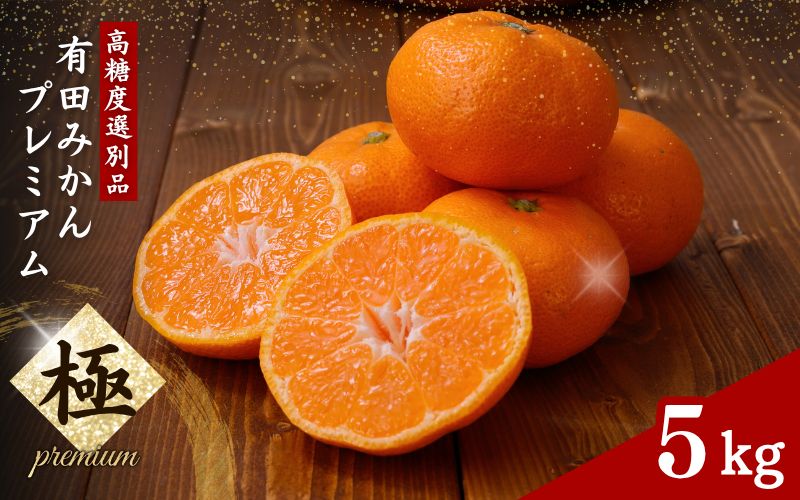 有田みかん 極 プレミアム 5kg (2S～Lサイズ) 光センサー選別 / 温州みかん みかん 甘い 高級 和歌山 柑橘 ※2026年11月下旬～2027年1月上旬頃に順次発送予定 ※北海道・沖縄・離島への配送不可 【nuk004-p-5E】