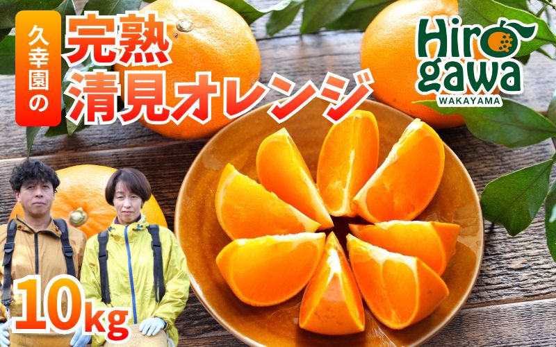 完熟 清見 オレンジ 10kg 久幸園 / 清見オレンジ 清見タンゴール きよみ 清美 甘い 高級 和歌山 柑橘 ※4月上旬～5月下旬に順次発送【hsk011-r-10B】