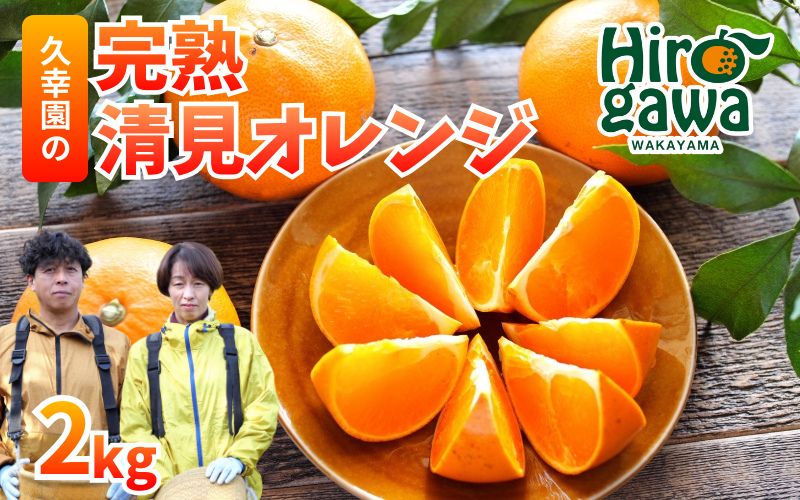 完熟 清見 オレンジ 2kg 久幸園 / 清見オレンジ 清見タンゴール きよみ 清美 甘い 高級 和歌山 柑橘 ※4月上旬～5月下旬に順次発送  【hsk011-r-2】