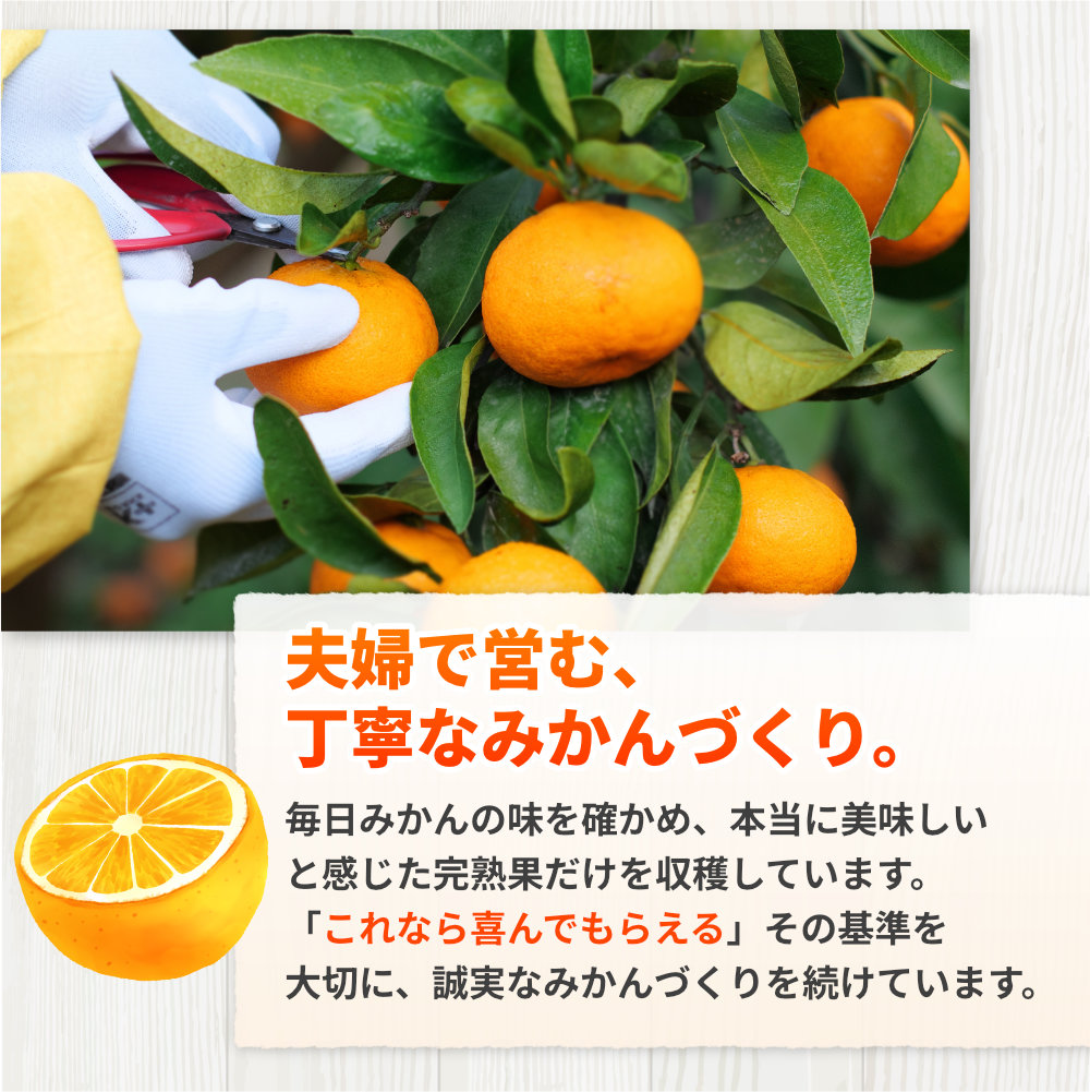 完熟 清見 オレンジ 7kg 久幸園 / 清見オレンジ 清見タンゴール きよみ 清美 甘い 高級 和歌山 柑橘 ※4月上旬～5月下旬に順次発送 【hsk011-r-7B】