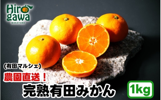 農園直送！ 完熟 有田 みかん 1kg+200g(傷み補償分) ＜2026年12月発送予定＞ 秀・優混み SSサイズ～Lサイズ混合 ※北海道・沖縄・離島への配送不可 / 和歌山 温州みかん ミカン オレンジ 甘い フルーツ 果物 産地直送【ard004-noen-1-12】