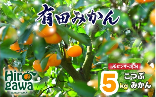 ちっちゃな 有田みかん こつぶみかん 家庭用 5kg （3S～2Sサイズ混合） 光センサー選別 ※2026年11月中旬～2027年年1月中旬に順次発送予定 ※北海道・沖縄・離島への配送不可 / 温州みかん みかん 甘い 柑橘 果物 和歌山 【nuk004-s-5A】