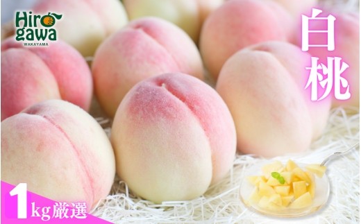 厳選 白桃 1kg / 桃 もも 甘い 高級 和歌山 ※7月上旬～8月中旬に順次発送 ※北海道・沖縄・離島への配送不可 【ikd501-p-1A】