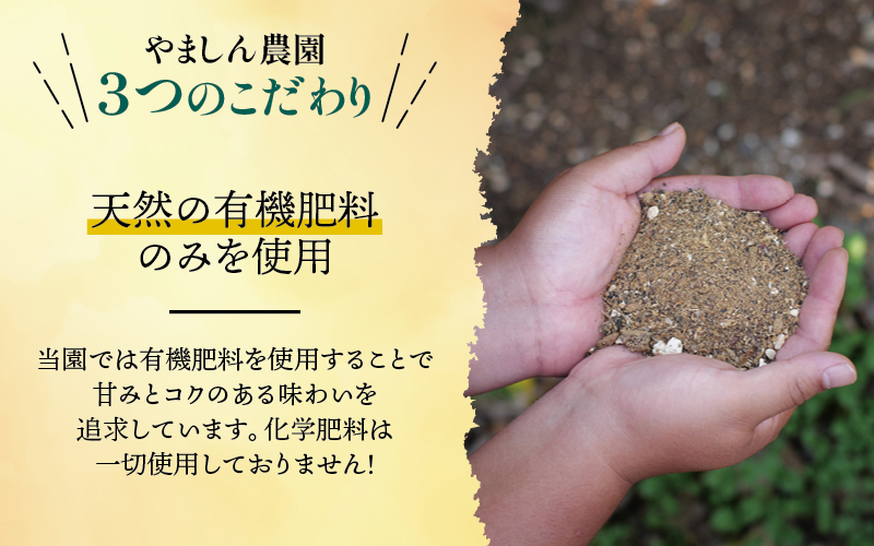 譛臥伐 縺ソ縺九s 險ウ縺ゅj 5kg 蜈峨そ繝ウ繧オ繝シ 驕ク蛻・ / 貂ゥ蟾槭∩縺九s 譛臥伐縺ソ縺九s 逕倥> 螳カ蠎ュ逕ィ 蜥梧ュ悟アア 譟第ゥ 窶サ2026蟷エ11譛磯谺。逋コ騾 窶サ蛹玲オキ驕薙サ豐也ク繝サ髮「蟲カ縺ク縺ョ驟埼∽ク榊庄縲刃uk004-c-5-novH縲