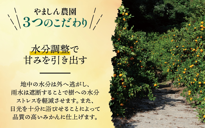 譛臥伐 縺ソ縺九s 險ウ縺ゅj 5kg 蜈峨そ繝ウ繧オ繝シ 驕ク蛻・ / 貂ゥ蟾槭∩縺九s 譛臥伐縺ソ縺九s 逕倥> 螳カ蠎ュ逕ィ 蜥梧ュ悟アア 譟第ゥ 窶サ2026蟷エ11譛磯谺。逋コ騾 窶サ蛹玲オキ驕薙サ豐也ク繝サ髮「蟲カ縺ク縺ョ驟埼∽ク榊庄縲刃uk004-c-5-novH縲
