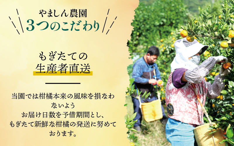 譛臥伐 縺ソ縺九s 險ウ縺ゅj 5kg 蜈峨そ繝ウ繧オ繝シ 驕ク蛻・ / 貂ゥ蟾槭∩縺九s 譛臥伐縺ソ縺九s 逕倥> 螳カ蠎ュ逕ィ 蜥梧ュ悟アア 譟第ゥ 窶サ2026蟷エ11譛磯谺。逋コ騾 窶サ蛹玲オキ驕薙サ豐也ク繝サ髮「蟲カ縺ク縺ョ驟埼∽ク榊庄縲刃uk004-c-5-novH縲