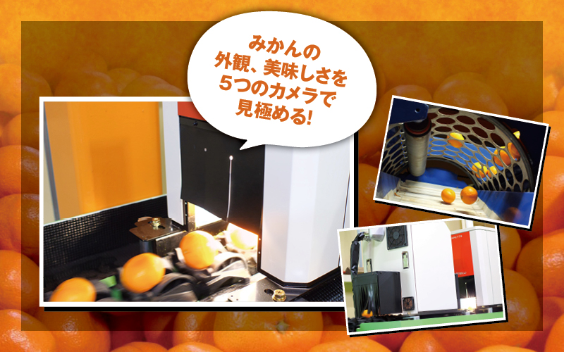 譛臥伐 縺ソ縺九s 險ウ縺ゅj 5kg 蜈峨そ繝ウ繧オ繝シ 驕ク蛻・ / 貂ゥ蟾槭∩縺九s 譛臥伐縺ソ縺九s 逕倥> 螳カ蠎ュ逕ィ 蜥梧ュ悟アア 譟第ゥ 窶サ2026蟷エ11譛磯谺。逋コ騾 窶サ蛹玲オキ驕薙サ豐也ク繝サ髮「蟲カ縺ク縺ョ驟埼∽ク榊庄縲刃uk004-c-5-novH縲