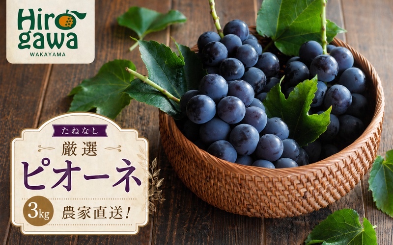 ピオーネ たねなし 3kg 厳選 / ぶどう 種無し 甘い 高級 和歌山 種無しピオーネ ※2026年8月中旬～9月中旬に順次発送 ※北海道・沖縄・離島への配送不可 【tec511-p-3B】