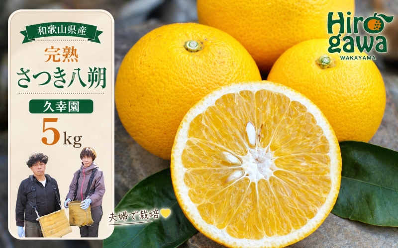 完熟 さつき 八朔 5kg / はっさく 甘い 和歌山 柑橘 ※4月上旬～6月上旬頃に順次発送予定 【hsk022-r-5】