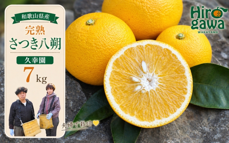 完熟 さつき 八朔 7kg / はっさく 甘い 和歌山 柑橘 ※4月上旬～6月上旬頃に順次発送予定 【hsk022-r-7】