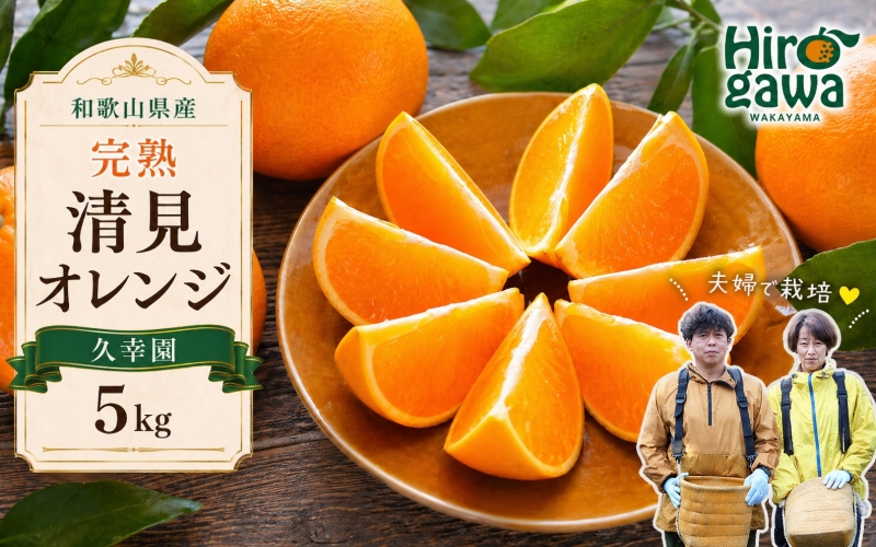 完熟 清見 オレンジ 5kg 久幸園 / 清見オレンジ 清見タンゴール きよみ 清美 甘い 高級 和歌山 柑橘 ※4月上旬～６月上旬に順次発送 【hsk011-r-5C】