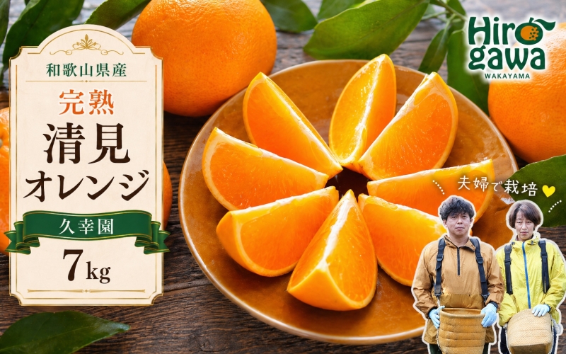 完熟 清見 オレンジ 7kg 久幸園 / 清見オレンジ 清見タンゴール きよみ 清美 甘い 高級 和歌山 柑橘 ※4月上旬～6月上旬に順次発送 【hsk011-r-7B】