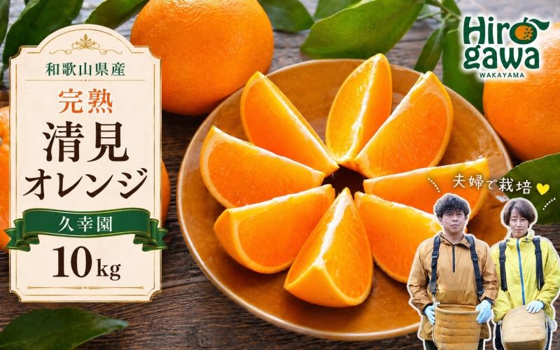 完熟 清見 オレンジ 10kg 久幸園 / 清見オレンジ 清見タンゴール きよみ 清美 甘い 高級 和歌山 柑橘 ※4月上旬～６月上旬に順次発送【hsk011-r-10B】