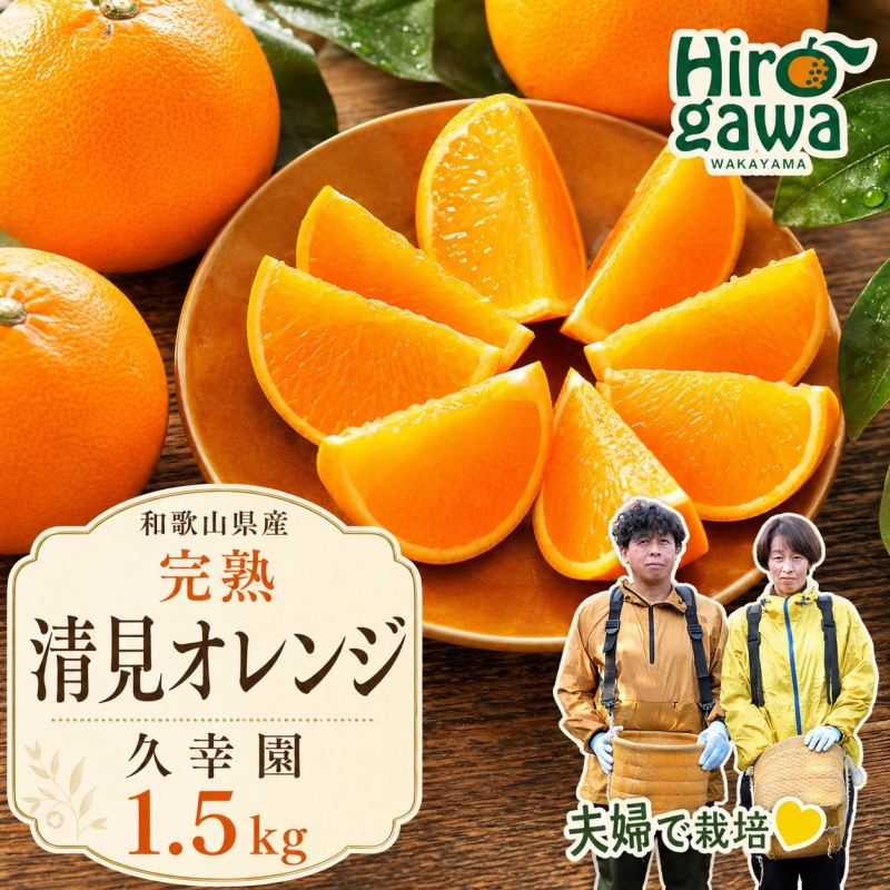完熟 清見 オレンジ 1.5kg 久幸園 / 清見オレンジ 清見タンゴール きよみ 清美 甘い 高級 和歌山 柑橘 ※2026年4月上旬～6月上旬に順次発送 【hsk011-r-1d5】