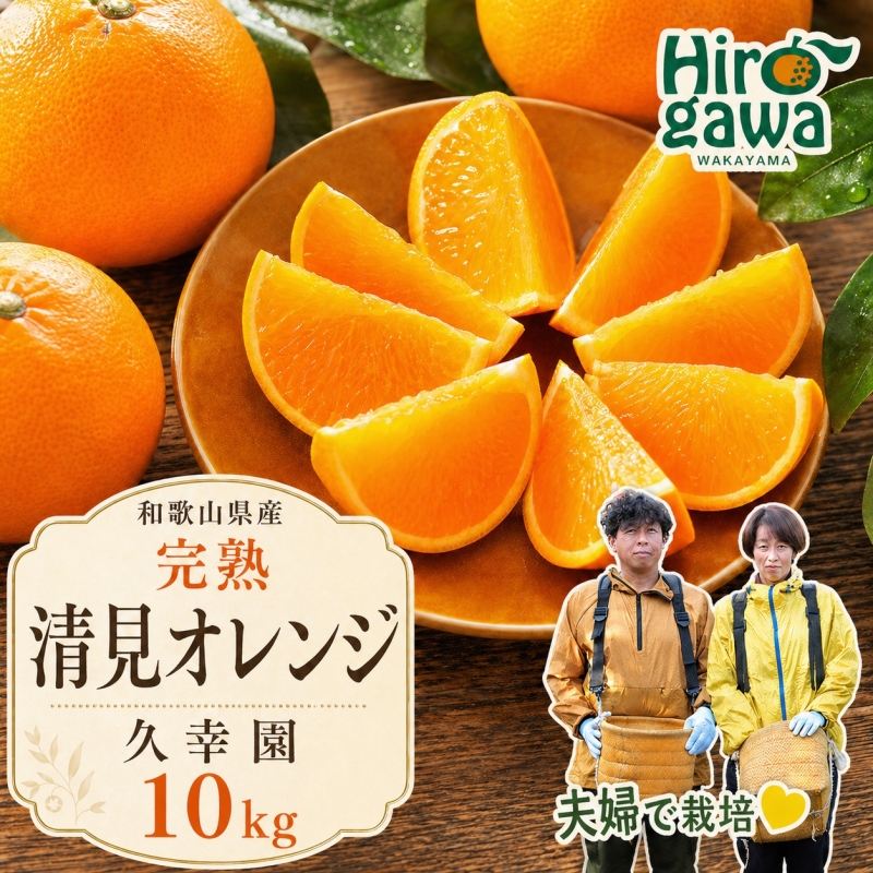 完熟 清見 オレンジ 10kg 久幸園 / 清見オレンジ 清見タンゴール きよみ 清美 甘い 高級 和歌山 柑橘 ※2026年4月上旬～６月上旬に順次発送【hsk011-r-10B】
