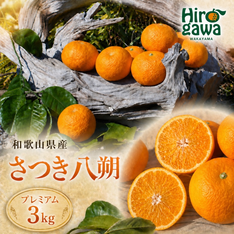 さつき 八朔 プレミアム 3kg ※2027年3月上旬～2027年3月下旬に順次発送 // さつき 八朔 柑橘 和歌山 有田 家庭用 プレミアム 厳選 訳あり わけあり 傷あり 紀州 国産 【gsa022-p-3】