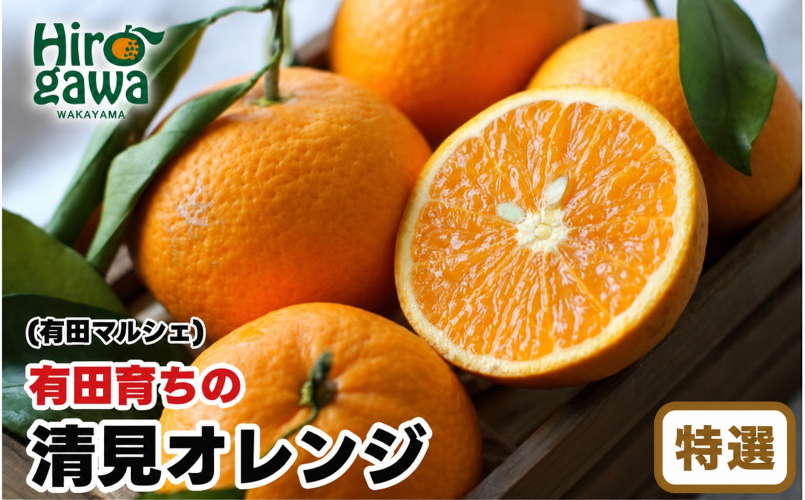 【産地直送】 有田 育ちの 特選 完熟 清見 オレンジ 10kg+200g(補償分)  / みかん 甘い オレンジ フルーツ 果物 有田 和歌山 ※2027年2月下旬～5月上旬に順次発送 ※北海道・沖縄・離島への配送不可 【ard011-p-10】