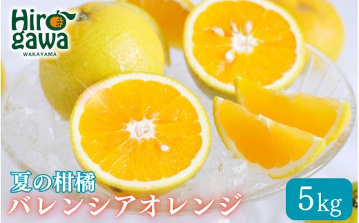 バレンシアオレンジ 家庭用 5kg+250g(痛み補償分) / みかん オレンジ 甘い 高級 和歌山 柑橘 ※6月中旬頃〜8月上旬頃に順次発送 ※北海道・沖縄・離島への配送不可 【ikd027-c-5】