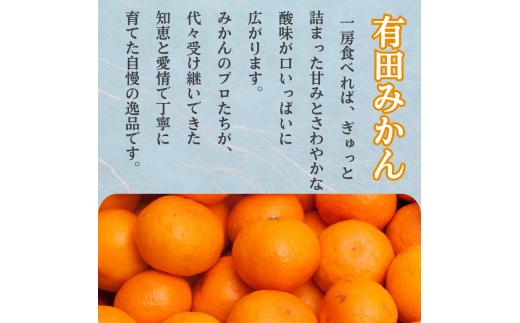 家庭用 有田 みかん 定期便 【2.5kg×3回】 / 温州みかん 有田みかん 甘い 訳あり 和歌山 有田 2.5kg ※北海道・沖縄・離島への配送不可 【ikd050-mikc-2d5-3】