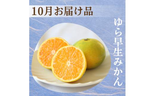 柑橘 定期便 SS【全3回】家庭用【 和歌山県 有田 】 ※北海道・沖縄・離島への配送不可 / 定期便 フルーツ ゆら早生みかん 有田みかん 3回 【ikd050-ss-c】