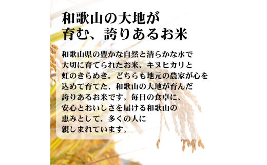   米 キヌヒカリ 2kg と 虹のきらめき 2kg 合計4kgセット (2025年産) 和歌山県産 / 白米 お米 ごはん こめ 単一米 単一原料米 銘柄米 令和7年産【hnj400-kn2-nj2】