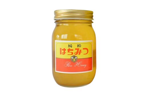 はちみつ 和歌山県産 600g 百花蜜 【tec603-600-hyaku】