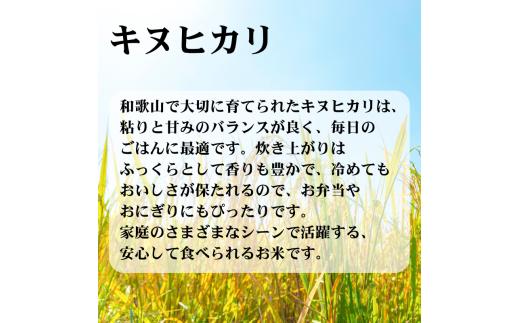   米 キヌヒカリ 2kg と 虹のきらめき 2kg 合計4kgセット (2025年産) 和歌山県産 / 白米 お米 ごはん こめ 単一米 単一原料米 銘柄米 令和7年産【hnj400-kn2-nj2】