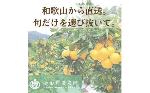 柑橘 定期便 SS【全3回】家庭用【 和歌山県 有田 】 ※北海道・沖縄・離島への配送不可 / 定期便 フルーツ ゆら早生みかん 有田みかん 3回 【ikd050-ss-c】