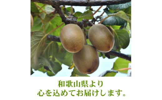 ããŠã€ å®¶åºçš 1kg+250gïŒçã¿è£ååïŒ / ããŠã€ãã«ãŒã èš³ãã åæå±± â»2025幎11æäžæ¬ïœ2026幎6æäžæ¬ã«é 次çºé â»åæµ·éã»æ²çžã»é¢å³¶ãžã®é
éäžå¯ãikd505-c-1Aã