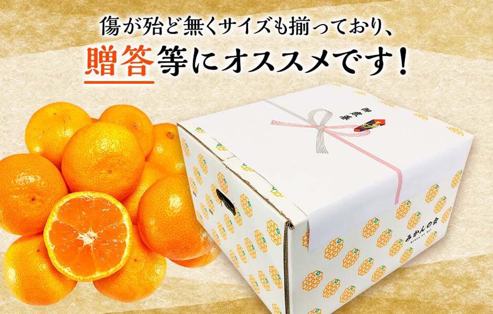 みかん Sサイズ 秀品 箱込 5kg (内容量約 4.4kg) 有田みかん 和歌山県産 産地直送 贈答用 ［2026年11月中旬より順次出荷予定］［みかんの会］